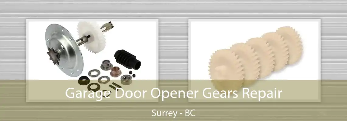 Garage Door Opener Gears Repair Surrey - BC