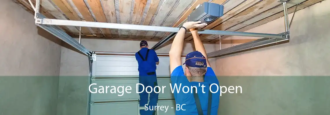 Garage Door Won't Open Surrey - BC